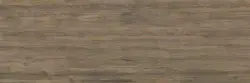 Çanakkale Seramik EC Plank BG 111 Mat Porselen Plaka 100x300