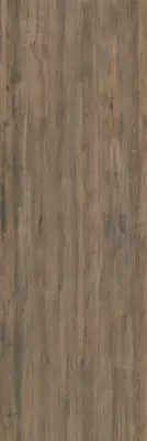 Çanakkale Seramik EC Plank BG 111 Mat Porselen Plaka 50x300
