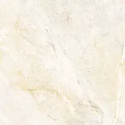 Çanakkale Seramik Salvia Mat Kemik Sırlı Granit 60x60