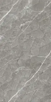 Çanakkale Seramik Alegra Parlak Gri Dekor 30x60