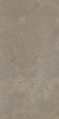 Çanakkale Seramik Capella Mat Vizon Duvar Karosu 40x80