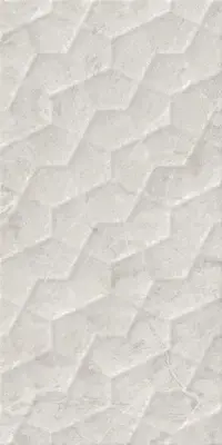 Çanakkale Seramik Alegra Parlak Beyaz Dekor 30x60