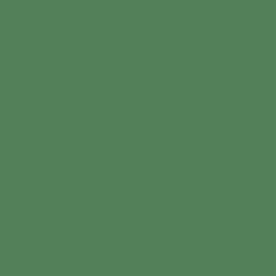VitrA 20x20, Color 2.0, Fon, Çimen Yeşili, RAL 150 50 30 Çimen Yeşili