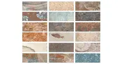 Serapool Fossil Mix Havuz Karosu