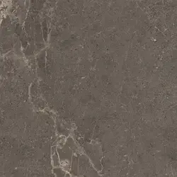 VitrA 60x60, Meteorite, Fon, Vizon, R10B