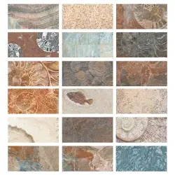 Serapool Fossil Mix Havuz Karosu